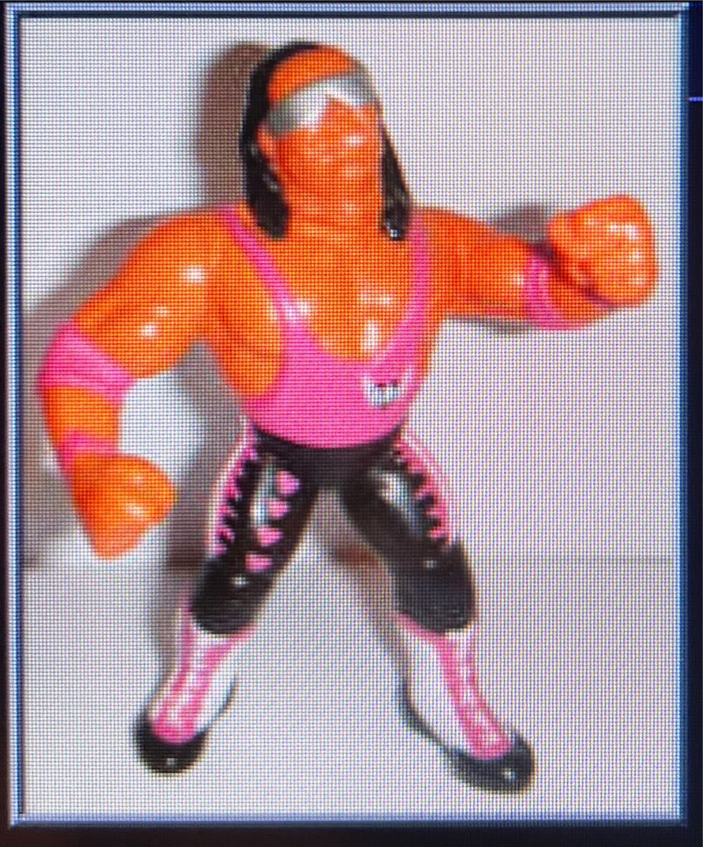 Brett - Hasbro WWF action figure collectible - Main Image 1