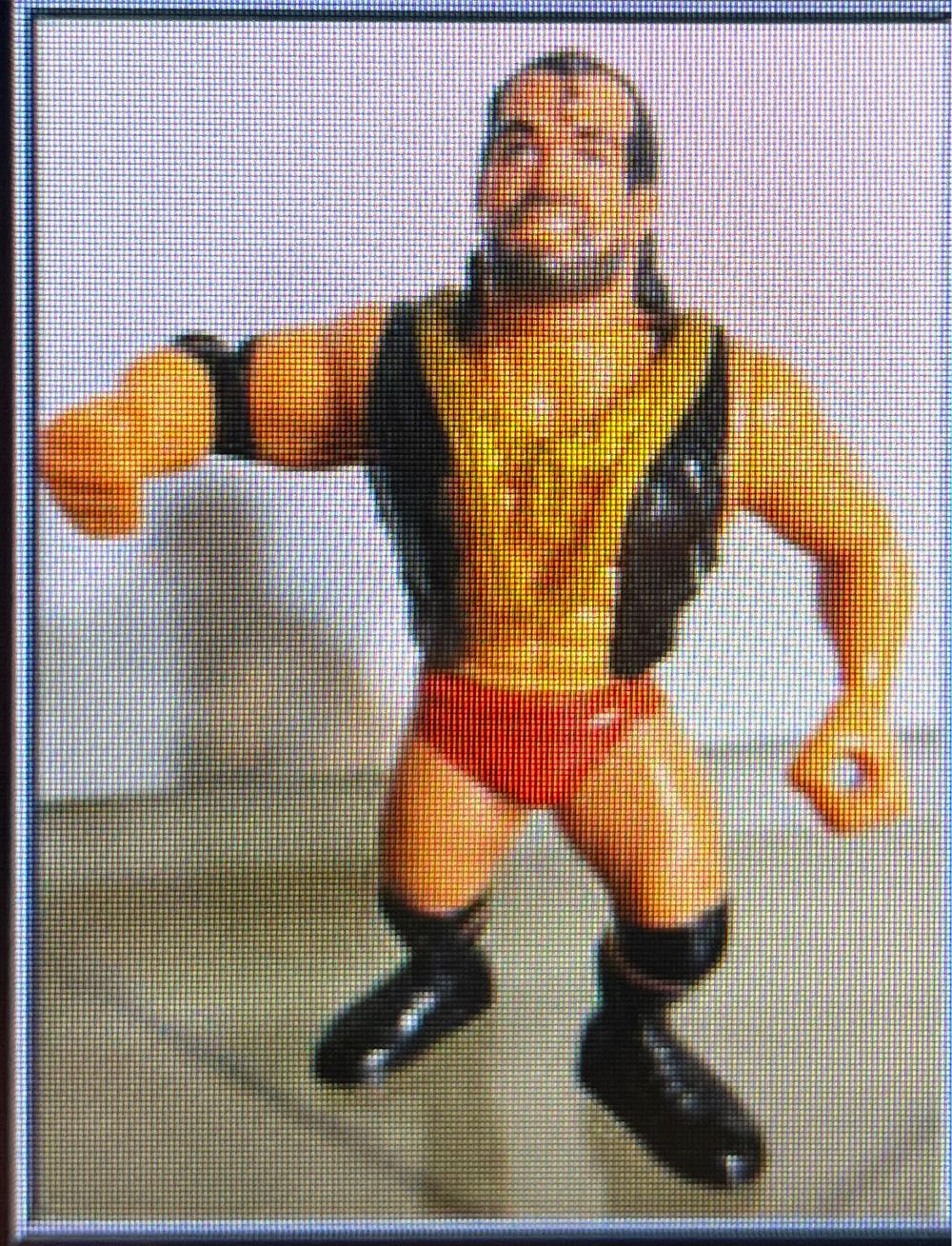 Razor Ramon - Hasbro WWF action figure collectible - Main Image 1