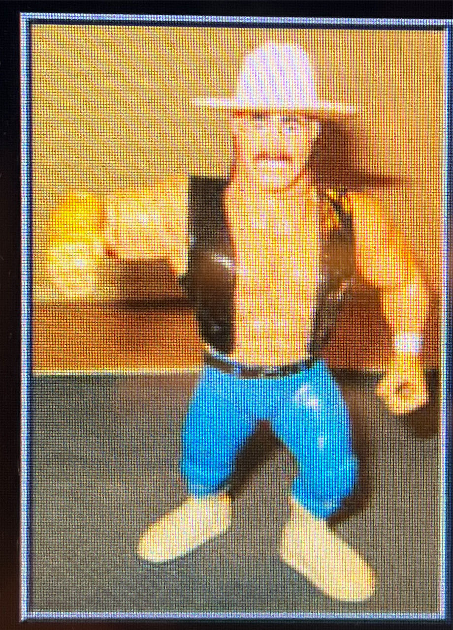 Matt Leines X RVCA Tiger Bolts