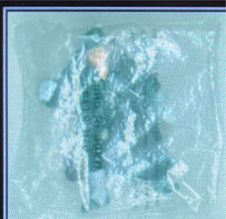 Funko Star Wars Rebels Ezra Pop Figuremulti-colored3.75 Inches