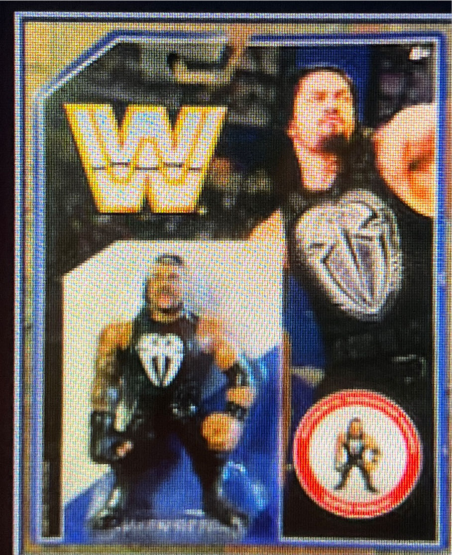 Batman: 12-inch Robin Action Figure: By Spin Master