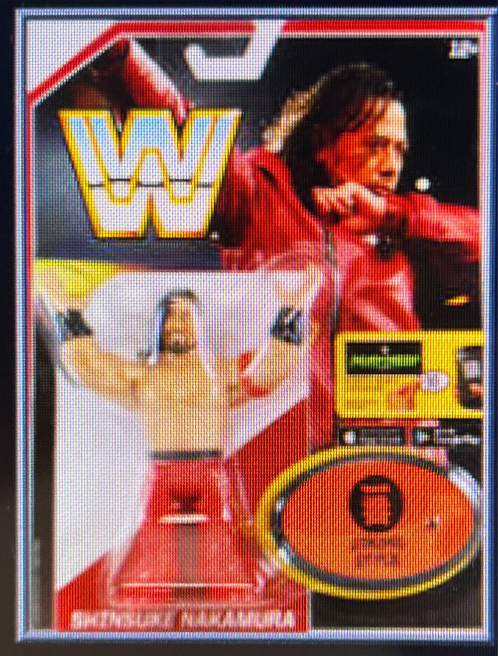 TMNT - Undercover Raphael