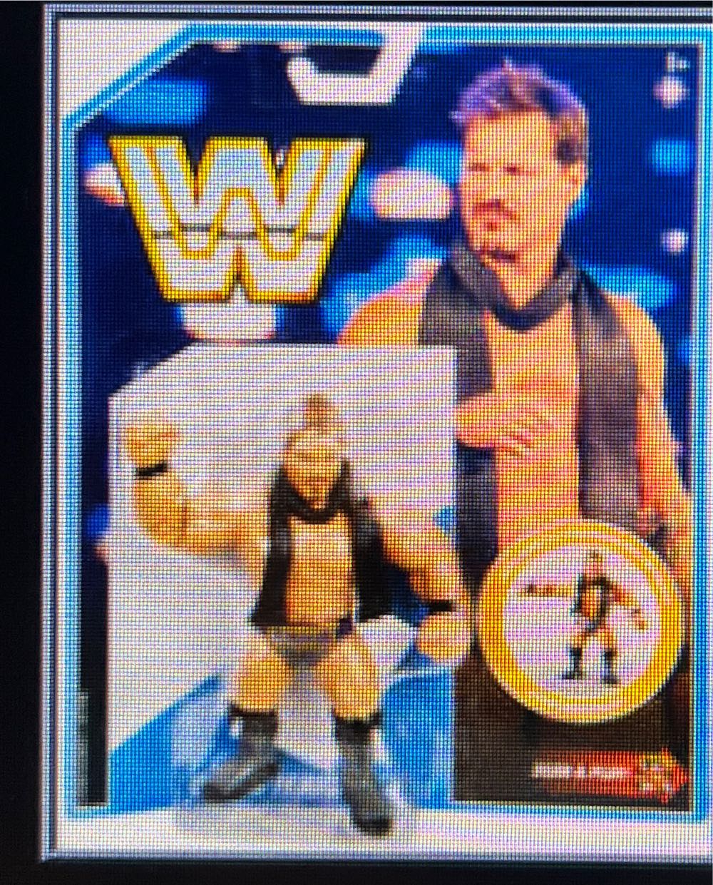 One Piece - Gol D. Roger - DXF Figure - The Grandline Men (Item No.98) - The Grandline Men Wano Kuni (Vol. 12) (Bandai Spirits)