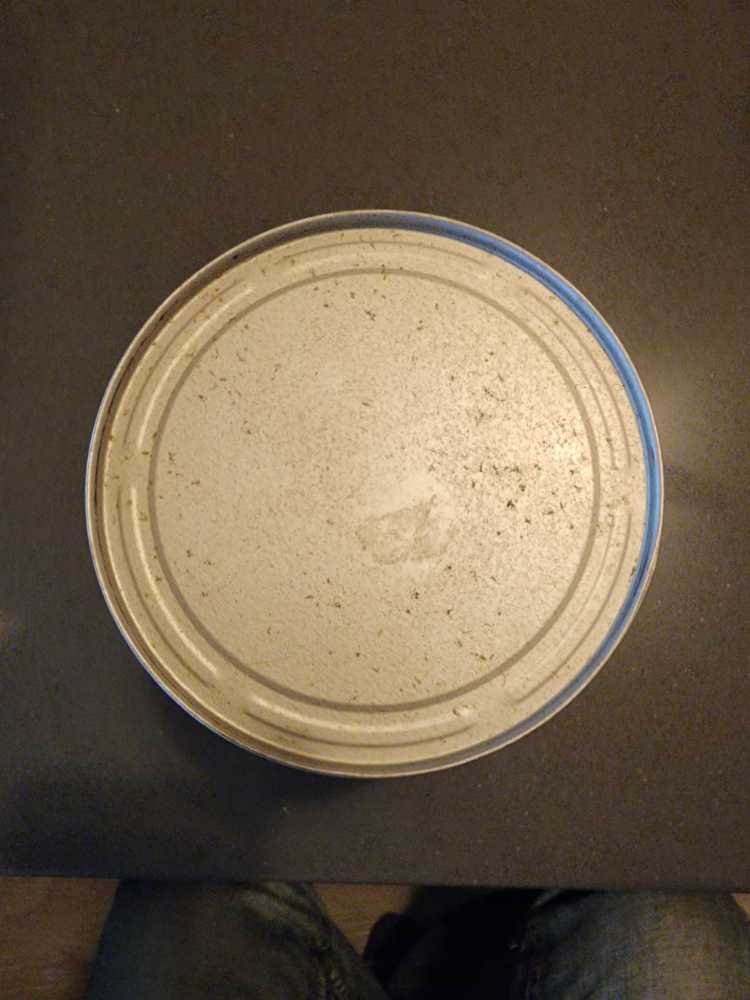 High Penn (81)  action figure collectible - Main Image 4