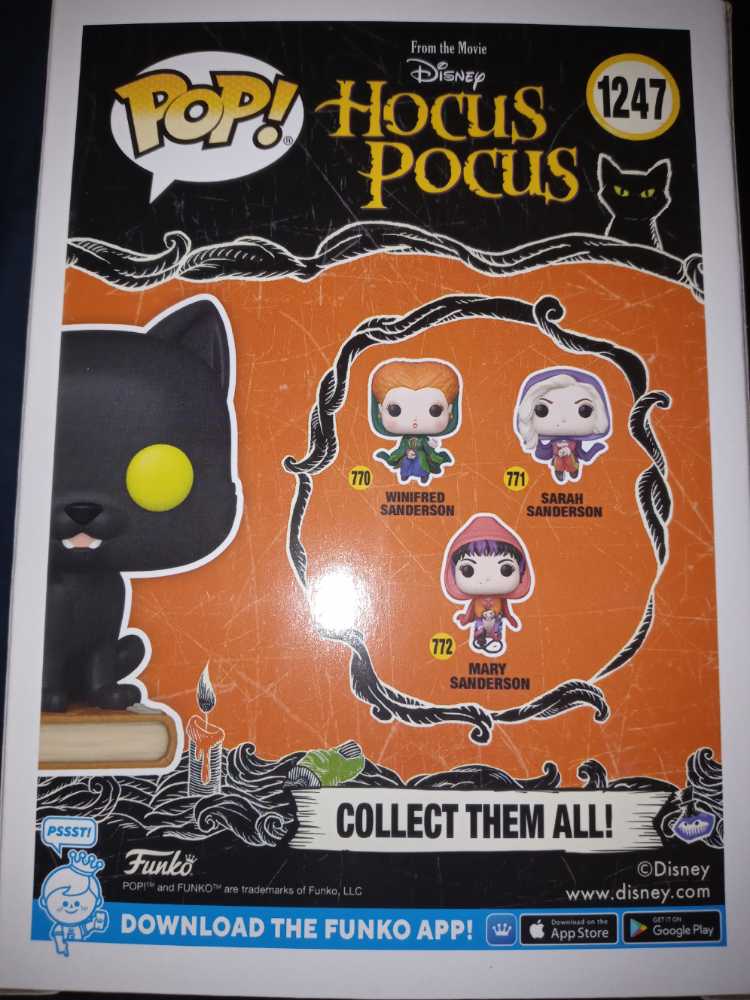 Hocus Pocus: Thackery Binx Cat #1247 - Funko (Hocus Pocus) (Hocus Pocus) action figure collectible [Barcode 889698671125] - Main Image 2