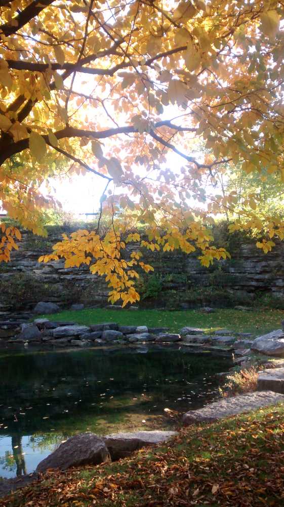 Bandai Figure Rise Naruto Shippuden Naruto Uzumaki Plastic Model Kit New