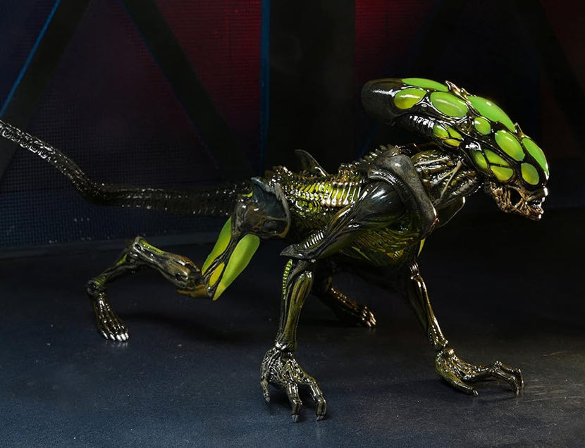 Aliens: Aliens Fireteam Elite: Burster Alien from Aliens Video Game - Neca (Space/Horror) action figure collectible [Barcode 634482517215] - Main Image 4