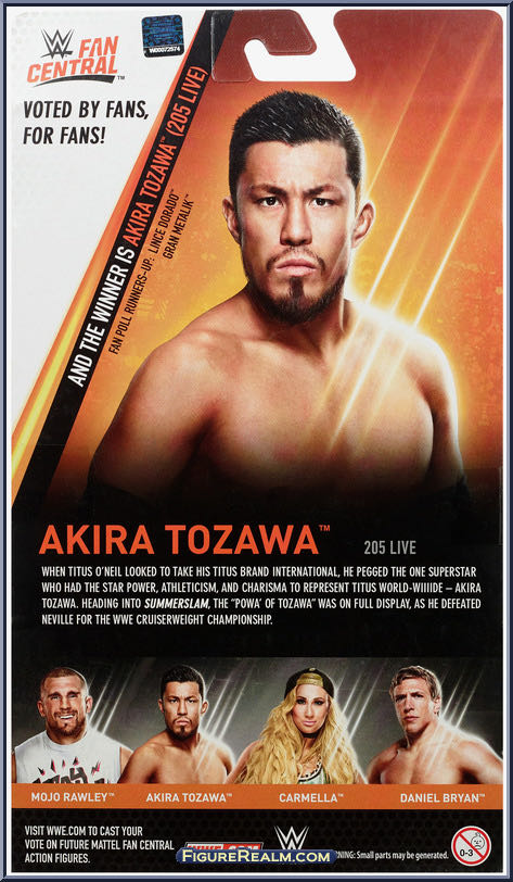 Akira Tozawa - Mattel (WWE Elite Fan Central Series 2) action figure collectible - Main Image 2