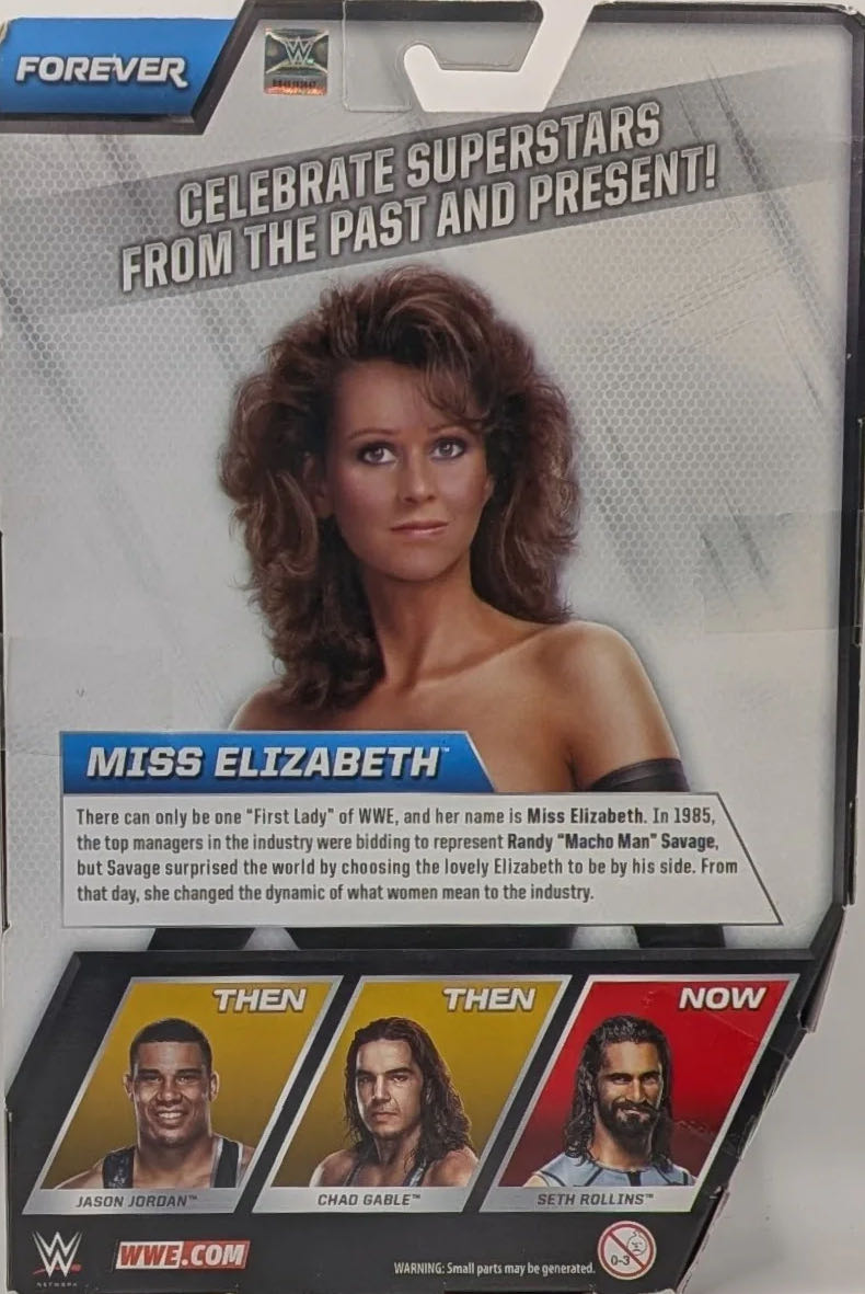 Miss Elizabeth - Mattel (Mattel Elite Collection Then, Now, Forever) action figure collectible - Main Image 2