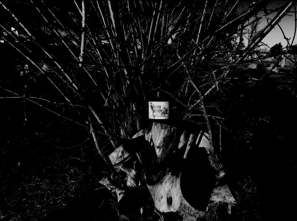 CANDLE: Christmas Witch City Wicks Winter Witch 2022 - Witch City Wicks (Christmas Candles) action figure collectible - Main Image 3