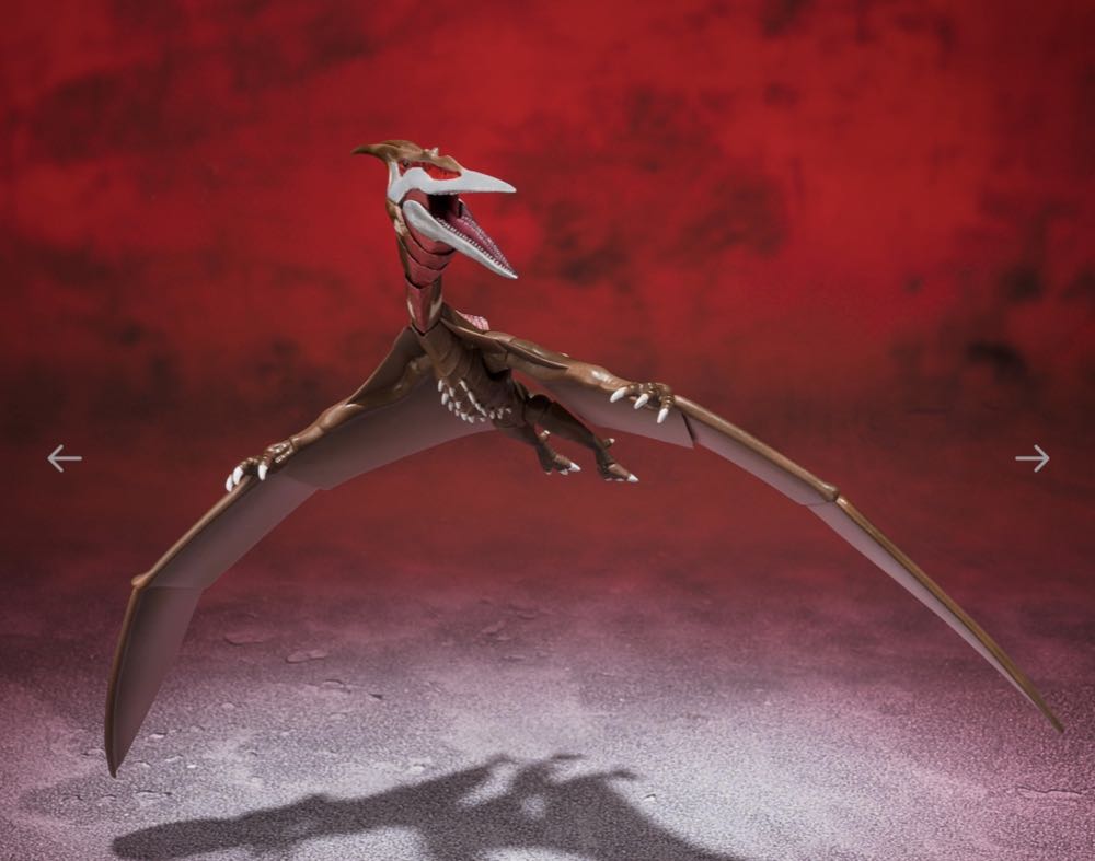 Rodan (2021) [Second Form] - Tamashi nations (S.H. MonsterArts) action figure collectible [Barcode 4573102634405] - Main Image 4