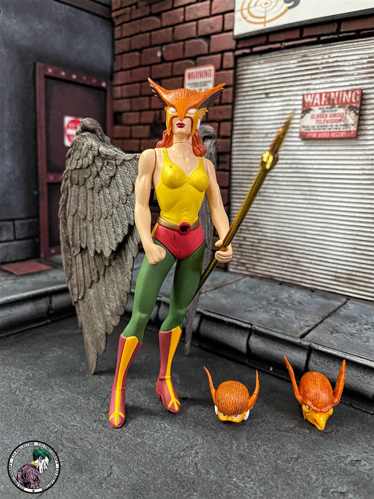 DC Direct (2000) (007x02) Hawkgirl - DC Direct (DC Direct Deluxe Set) action figure collectible - Main Image 1