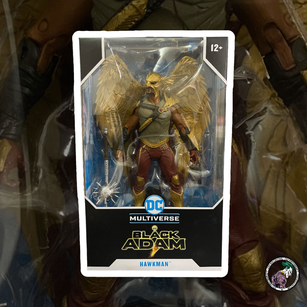 DC Multiverse (2022) (08x06) Hawkman - McFarlane Toys (Black Adam Movie) action figure collectible - Main Image 2