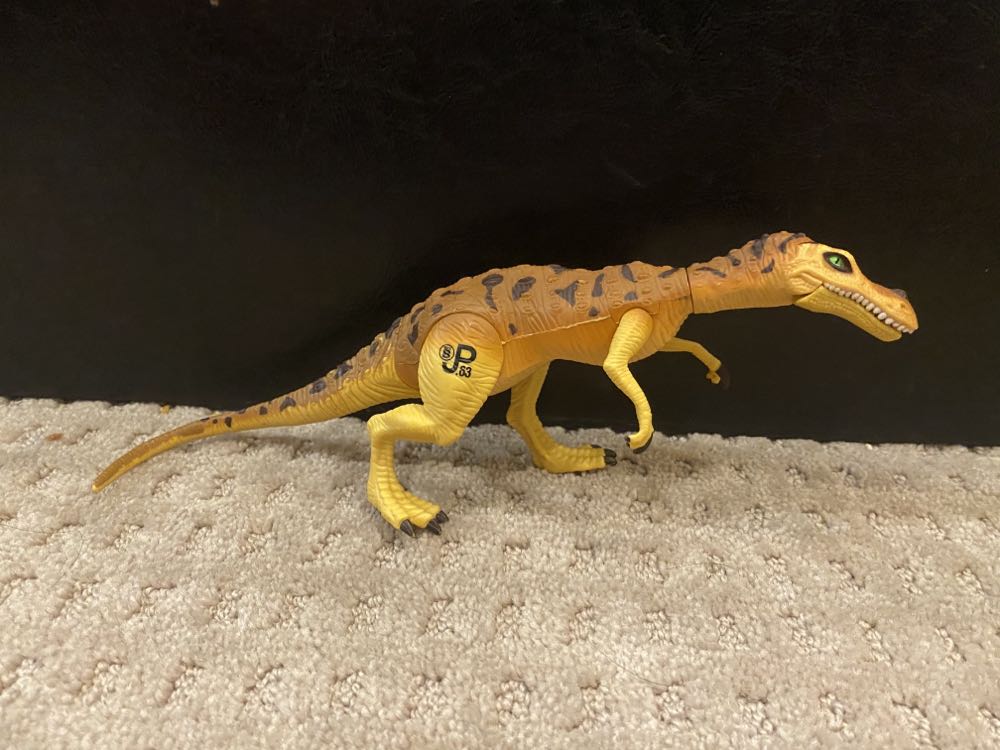 Large Glass 400ml Kame & Kaio