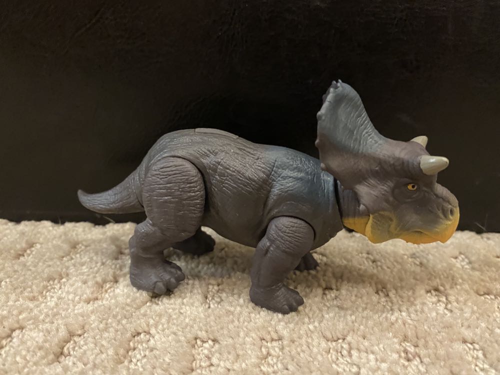 SW BS 55 Resistance Tech Rose