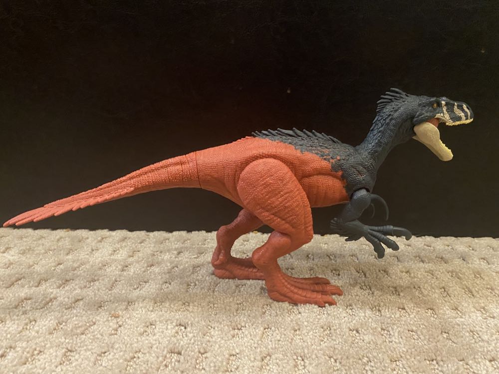 Star Wars- Jyn Erso Funko 555