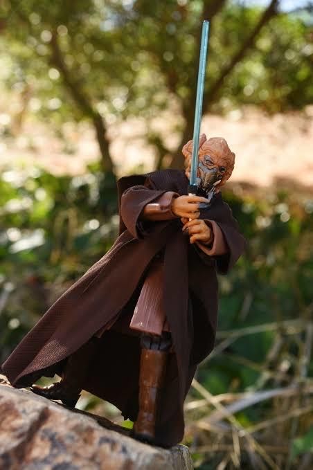 ROTS: Plo Koon - Hasbro (Star Wars) action figure collectible - Main Image 4
