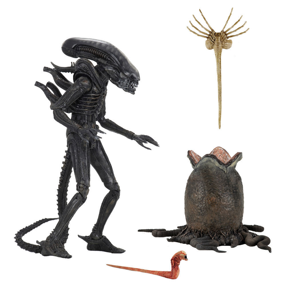 Big Chap - Neca (Aliens) action figure collectible - Main Image 3