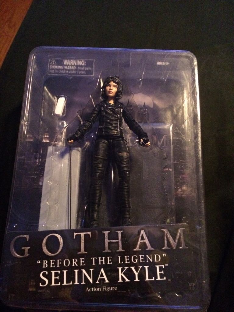 Selina Kyle  - Diamond Select (Gotham Before The Legend) action figure collectible [Barcode 699788814192] - Main Image 1