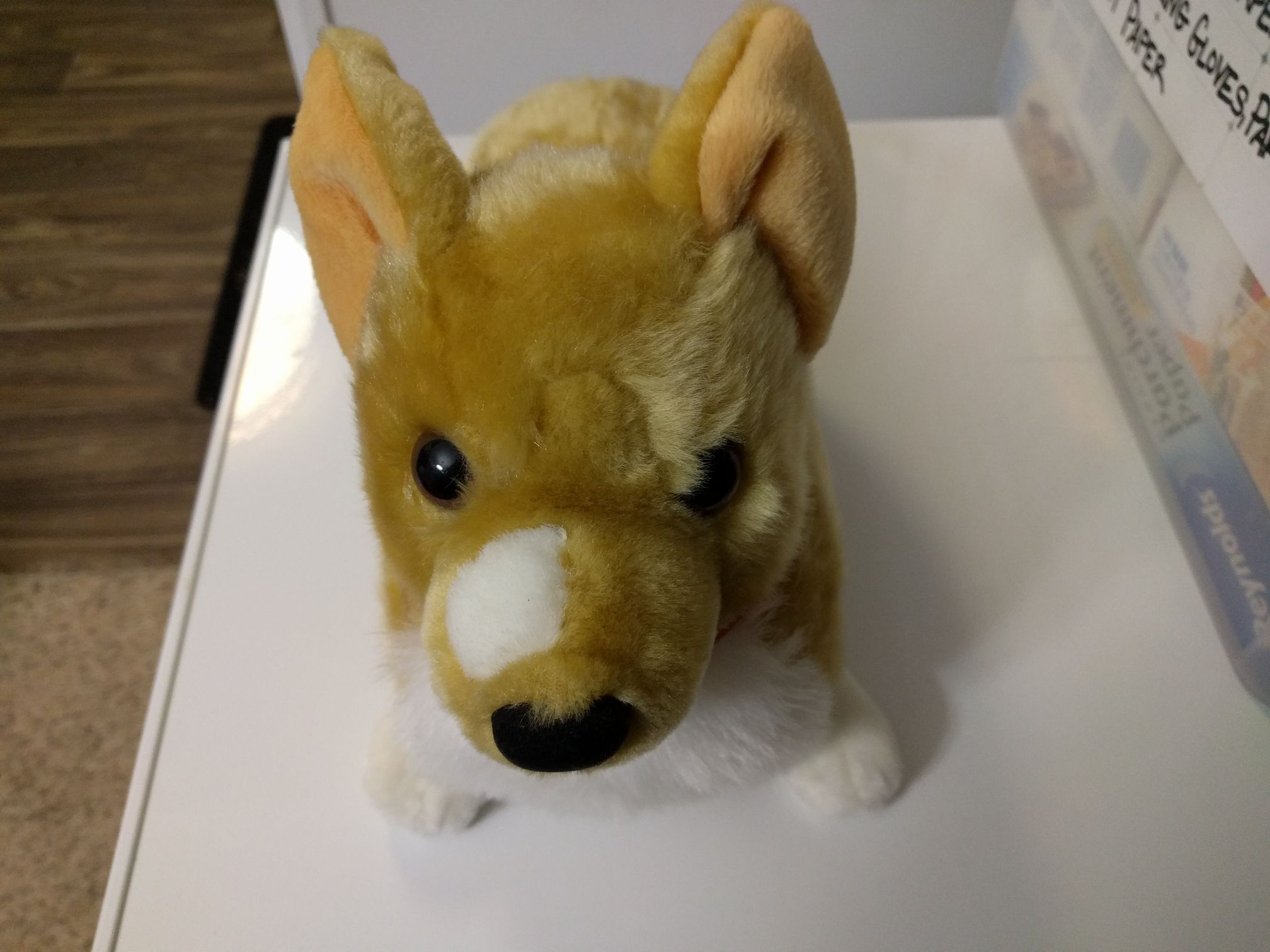 Ein - Bandai (Cowboy Bebop) action figure collectible [Barcode 699858960071] - Main Image 2