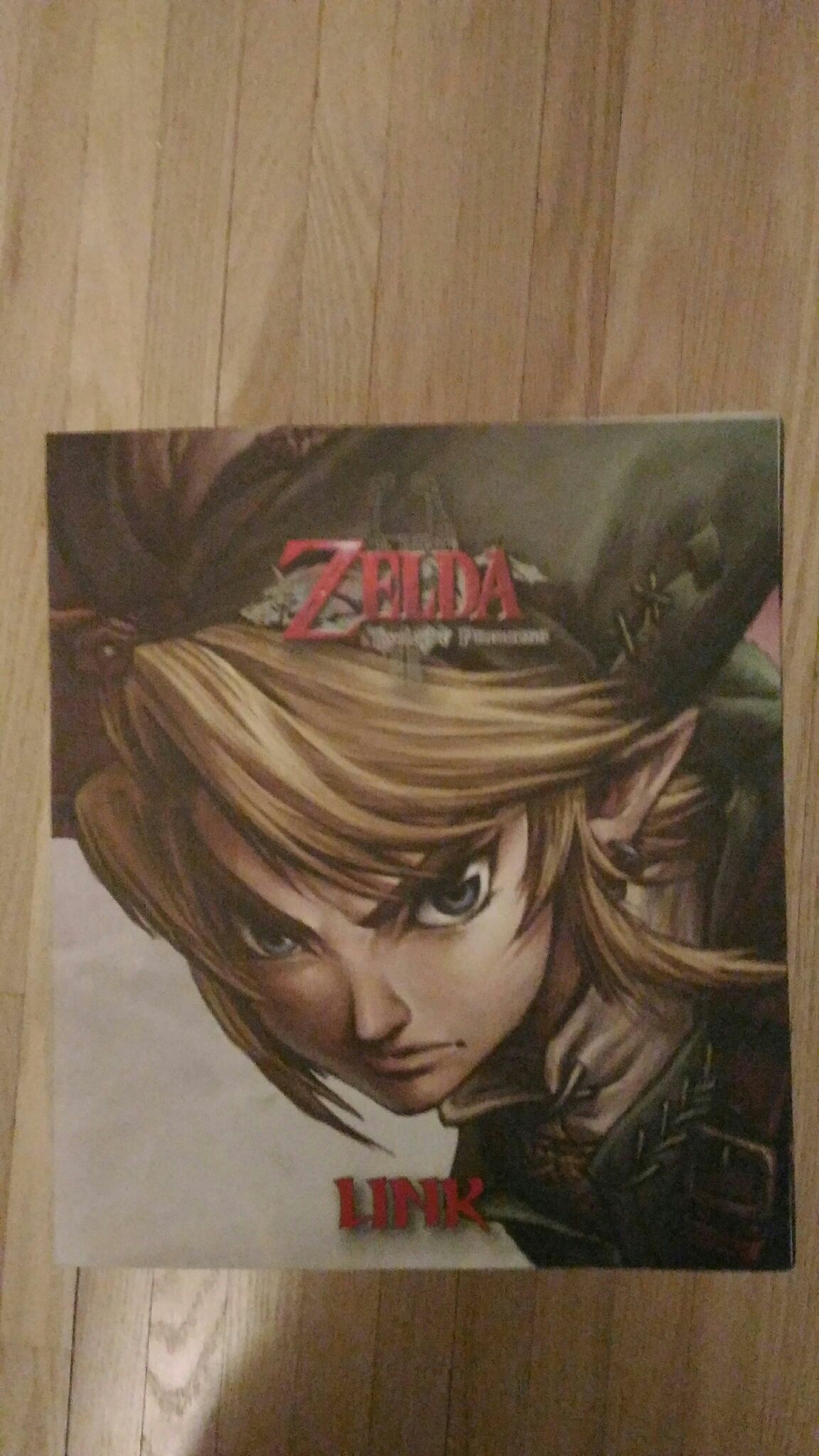 Link - Dark Horse Deluxe (Twilight Princess) action figure collectible [Barcode 761568264913] - Main Image 1