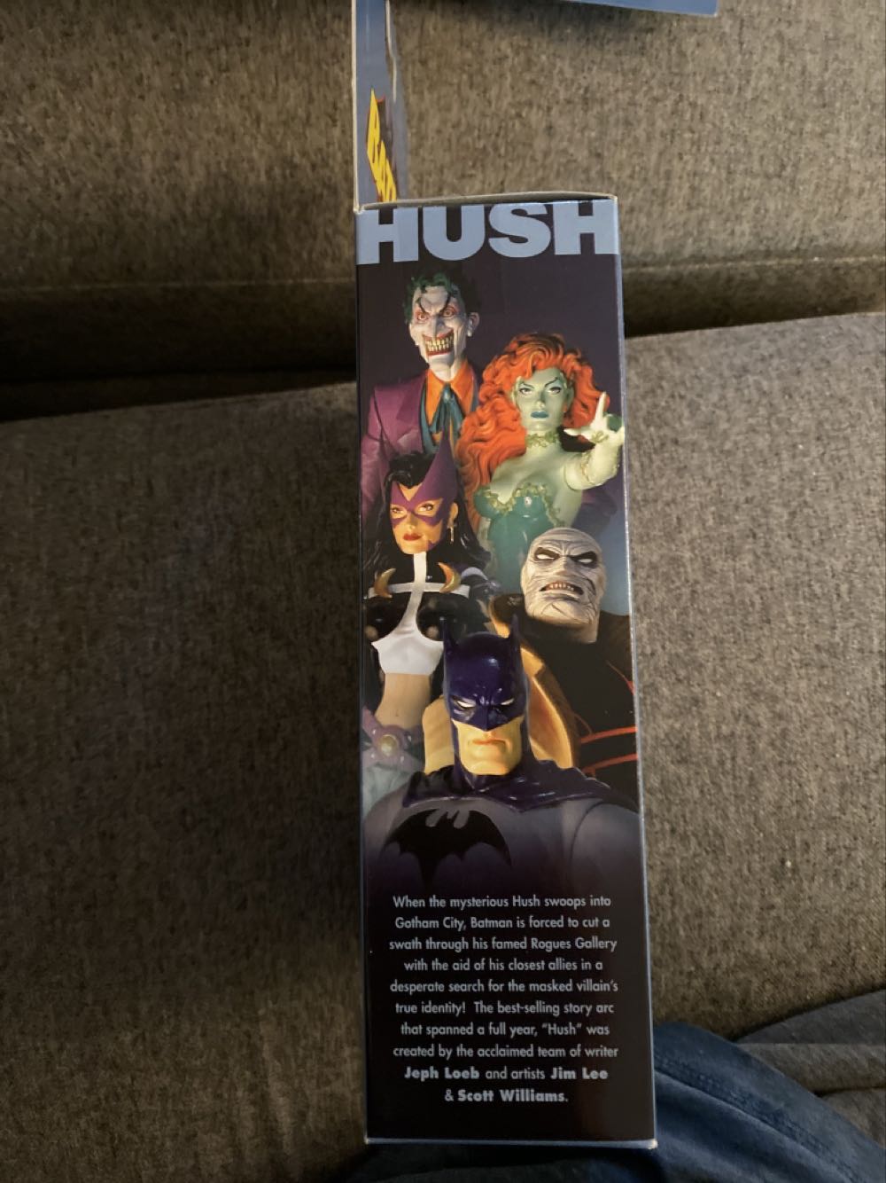 Hush Hush - DC Direct (DC Direct Hush) action figure collectible [Barcode 761941240619] - Main Image 3