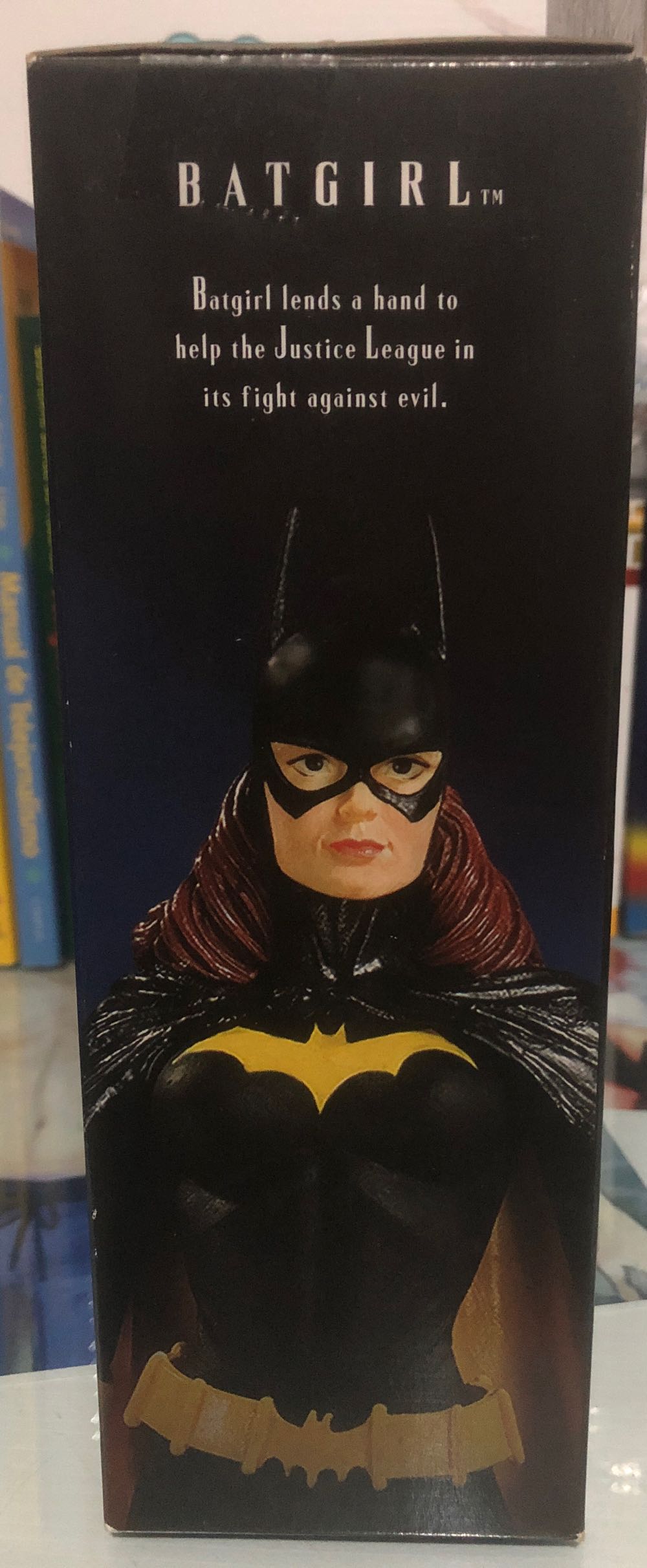 Batgirl - DC Direct (DC Direct Justice League Alex Ross) action figure collectible [Barcode 761941272085] - Main Image 3