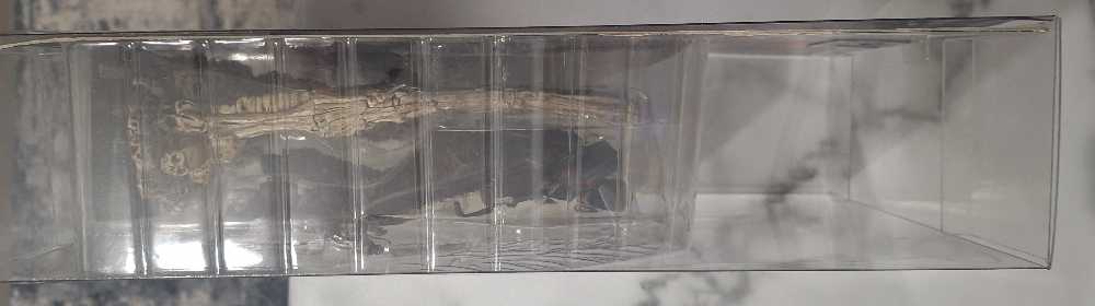 Ash Williams <Movie Maniacs 2> - McFarlane Toys (Evil Dead) action figure collectible [Barcode 787926175011] - Main Image 4