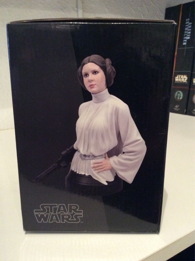 Star Wars A New Hope Princess Leia Collectible Mini Bust - Gentle Giant Ltd. (Star Wars) action figure collectible [Barcode 871810001484] - Main Image 2