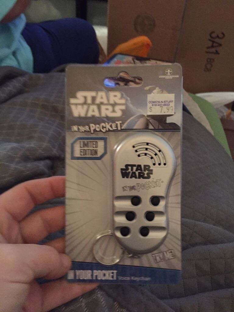 NFL Small Pros: Troy Polamalu