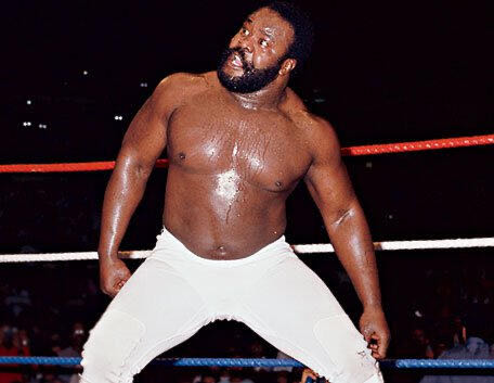 WWE Junkyard Dog - Mattel (WWE Ellite Collection Flashback) action figure collectible [Barcode 887961085549] - Main Image 4