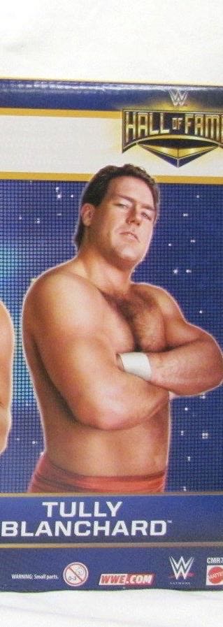 Tully Blanchard - Mattel - WWE (Elite Collection Hall of Fame Multipack: The Four Horsemen) action figure collectible [Barcode 887961163742] - Main Image 3