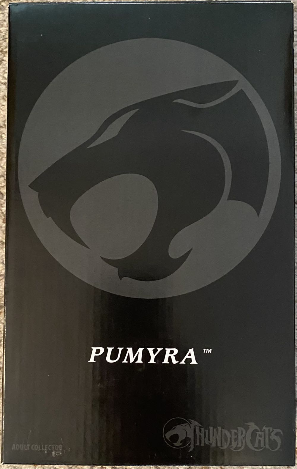 Thundercats (Classics) - Pumyra - Mattel (Wave 1) action figure collectible [Barcode 887961231007] - Main Image 3