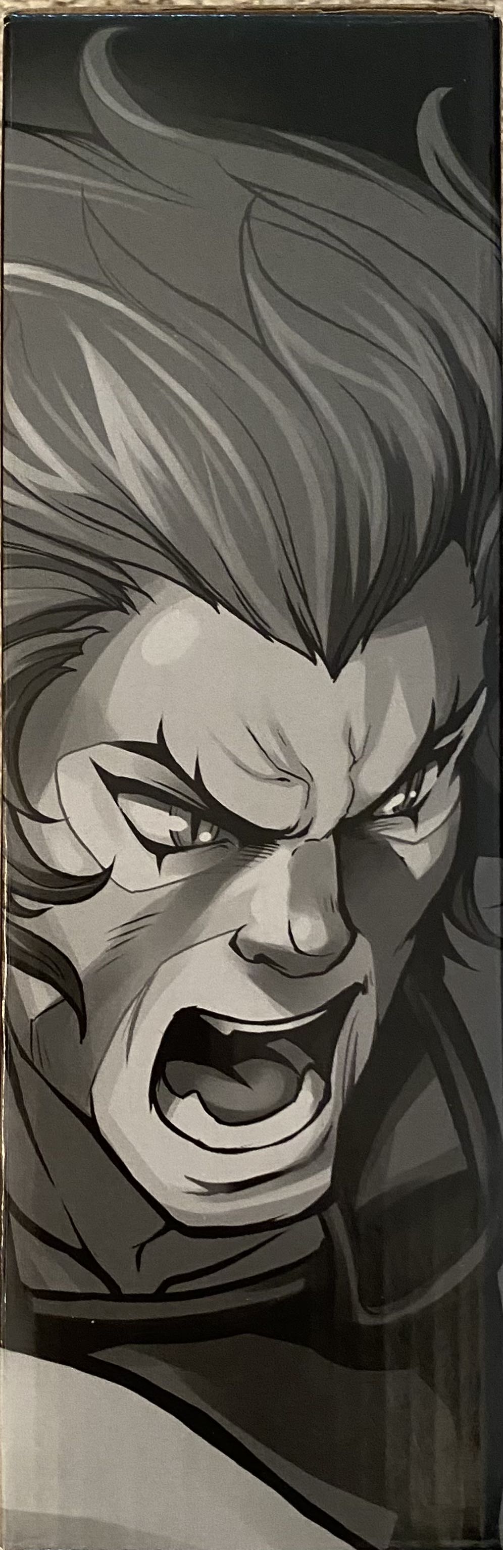 Thundercats (Classics): Lion-O - Mattel (Wave 1) action figure collectible [Barcode 887961231021] - Main Image 4