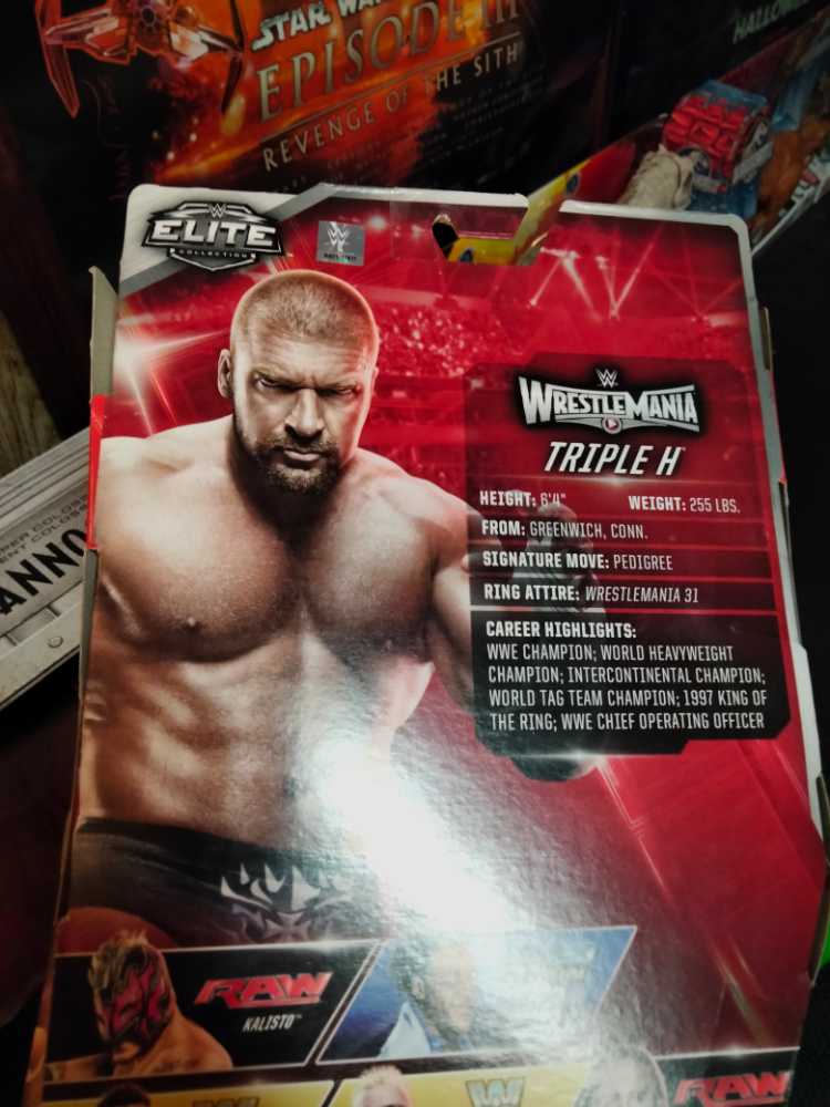 WWE: Triple H - Mattel (WWE Elite Collection Series) action figure collectible [Barcode 887961232875] - Main Image 3