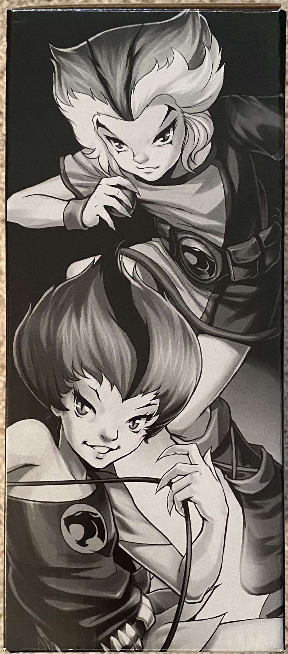 Wilykat & Wilykit - Mattel (ThunderCats) (Thundercats Classics) action figure collectible [Barcode 887961234947] - Main Image 4