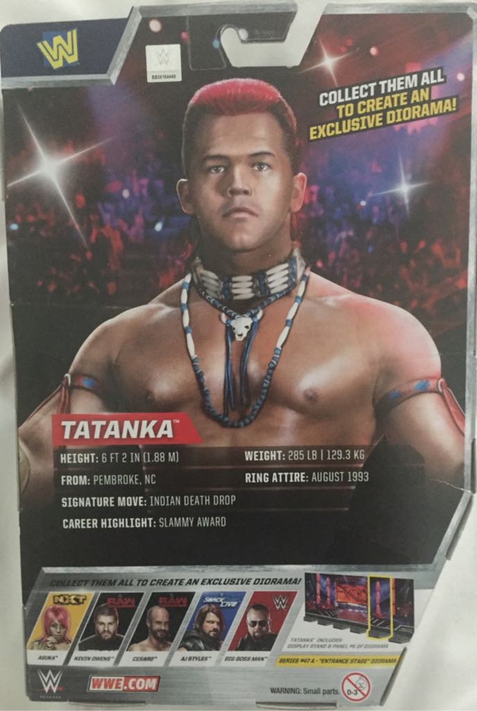 Tatanka - Mattel (Mattel Elite Collection) action figure collectible [Barcode 887961397680] - Main Image 2
