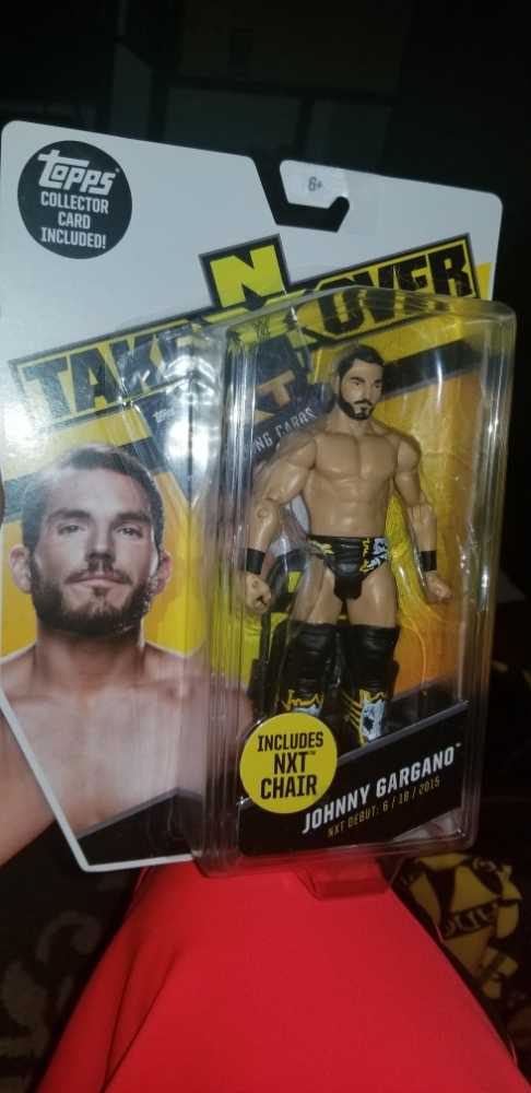 Johnny Gargano  (NXT) action figure collectible [Barcode 887961530827] - Main Image 3
