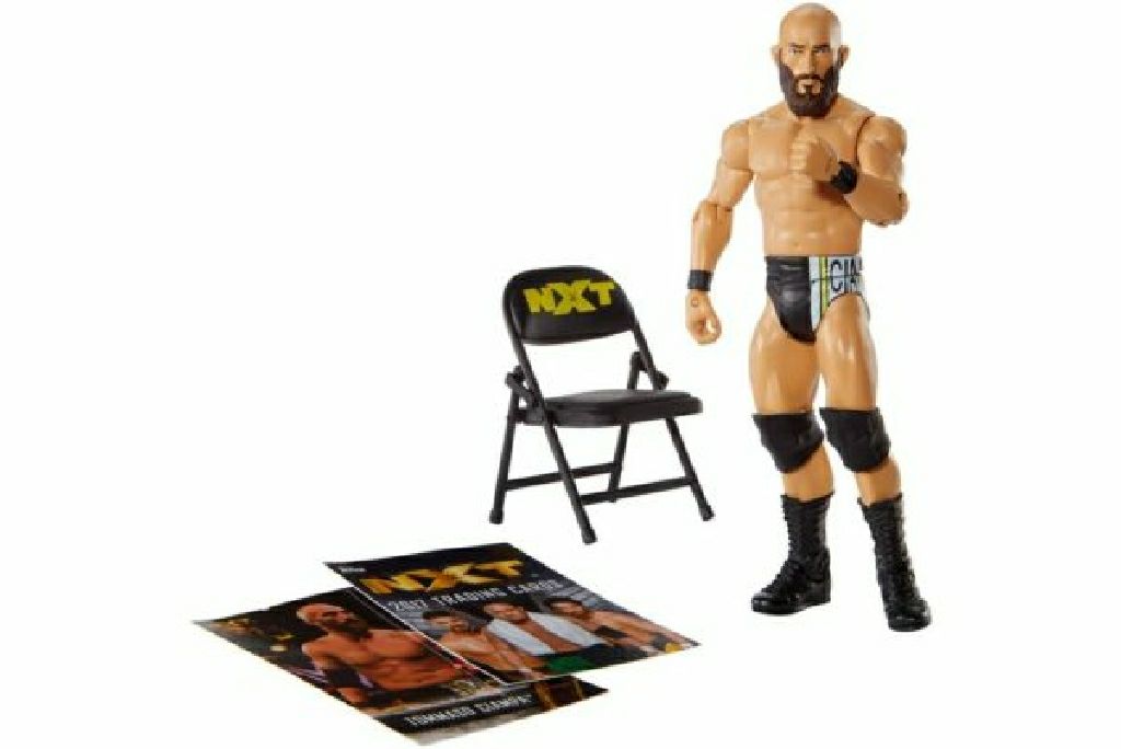 WWE NXT Basic I Tommaso Ciampa  (NXT) action figure collectible [Barcode 887961530865] - Main Image 2
