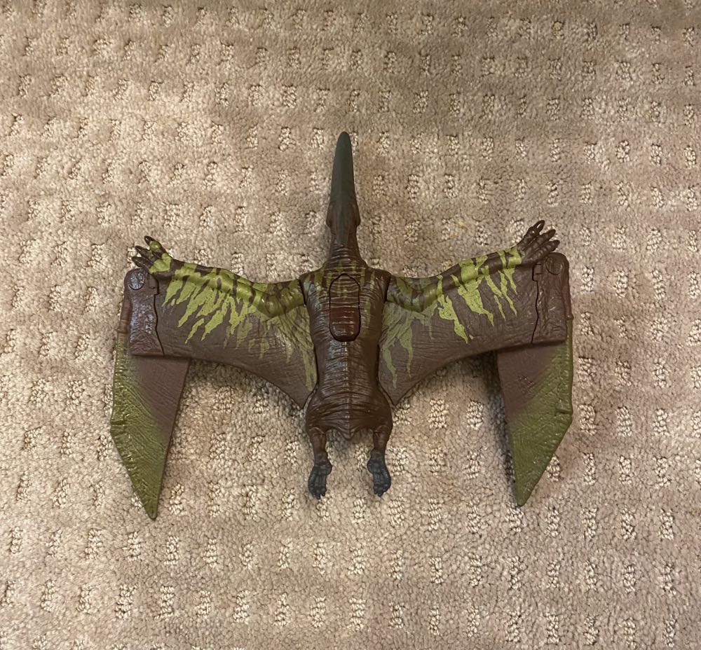 Pteranodon: Green & Brown Variant - Mattel (Primal Attack) action figure collectible - Main Image 3