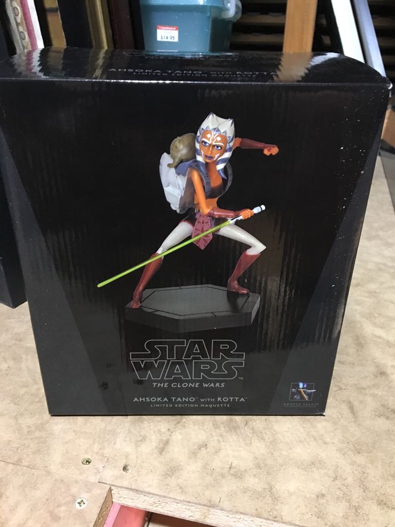 2016 Michelangelo In Pirate Costume