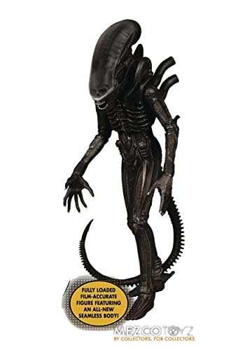 Harley Quinn (Pink Jacket)