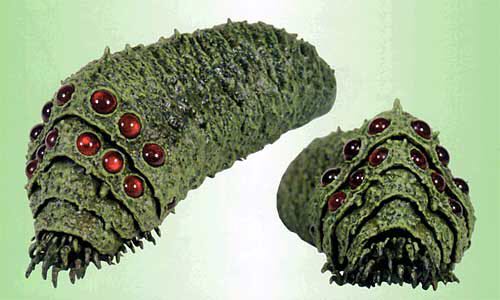 Tela Per Pittura 30x30 Cwr