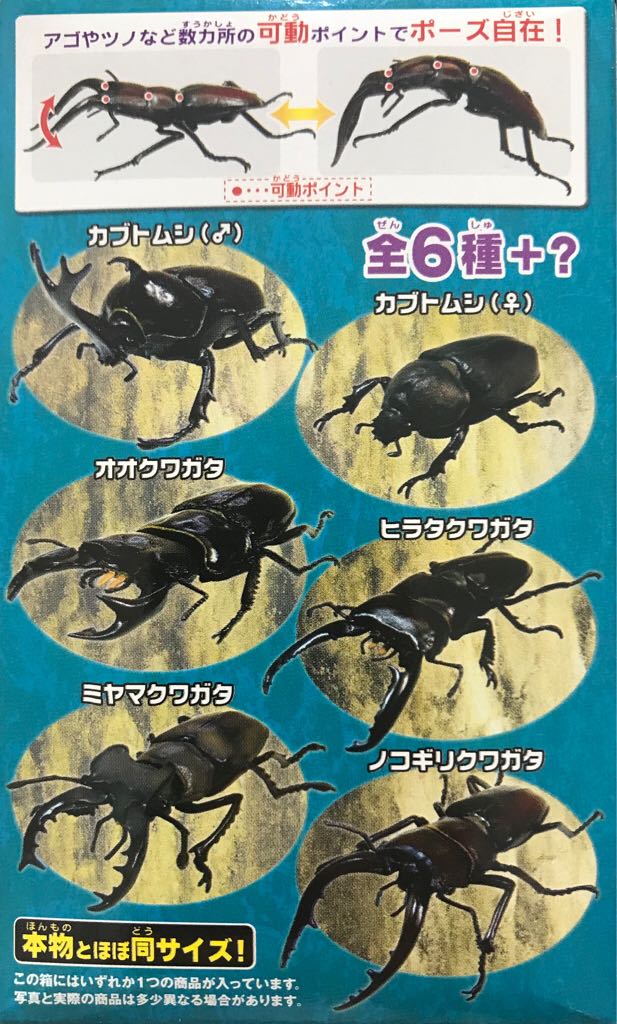 Image 204256