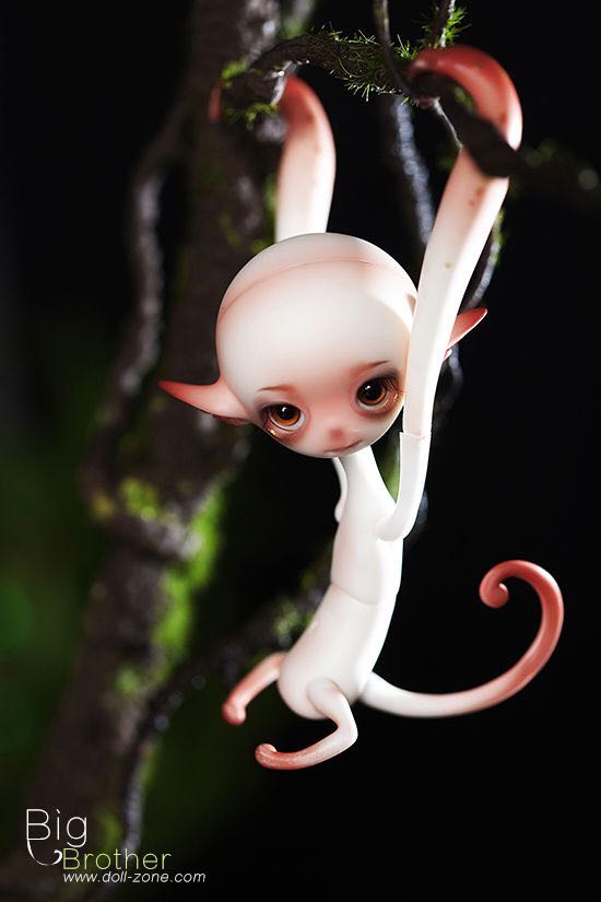 Tela Per Pittura 30x30 Cwr