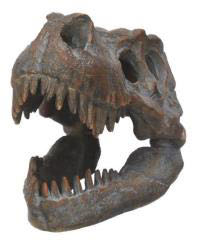 Tyrannosaurus Rex Skull Figurine - NEMESIS NOW (Replica Figurine) action figure collectible - Main Image 2