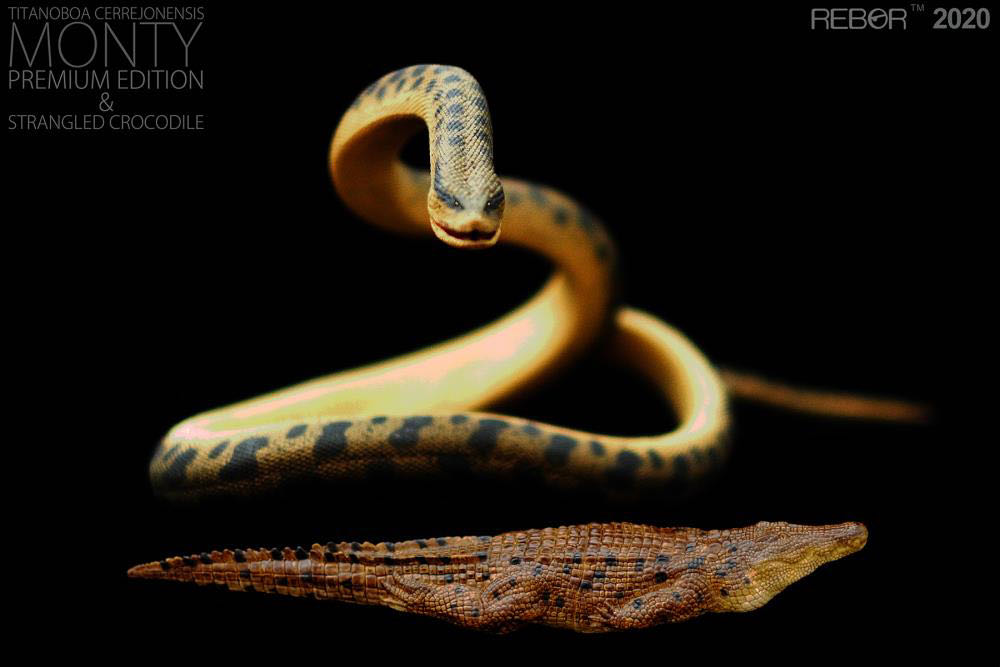 Monty: The Titanoboa Cerrejonensis & Strangled Crocodile (Premium Edition) - Rebor (1/35 Scale Replica) action figure collectible [Barcode 5060413160574] - Main Image 1