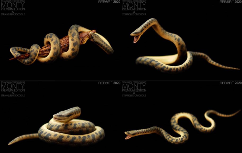 Monty: The Titanoboa Cerrejonensis & Strangled Crocodile (Premium Edition) - Rebor (1/35 Scale Replica) action figure collectible [Barcode 5060413160574] - Main Image 2