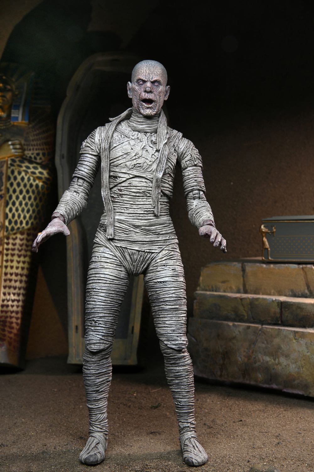Universal Monsters - The Mummy - Neca (Universal Classic Monsters) action figure collectible - Main Image 2