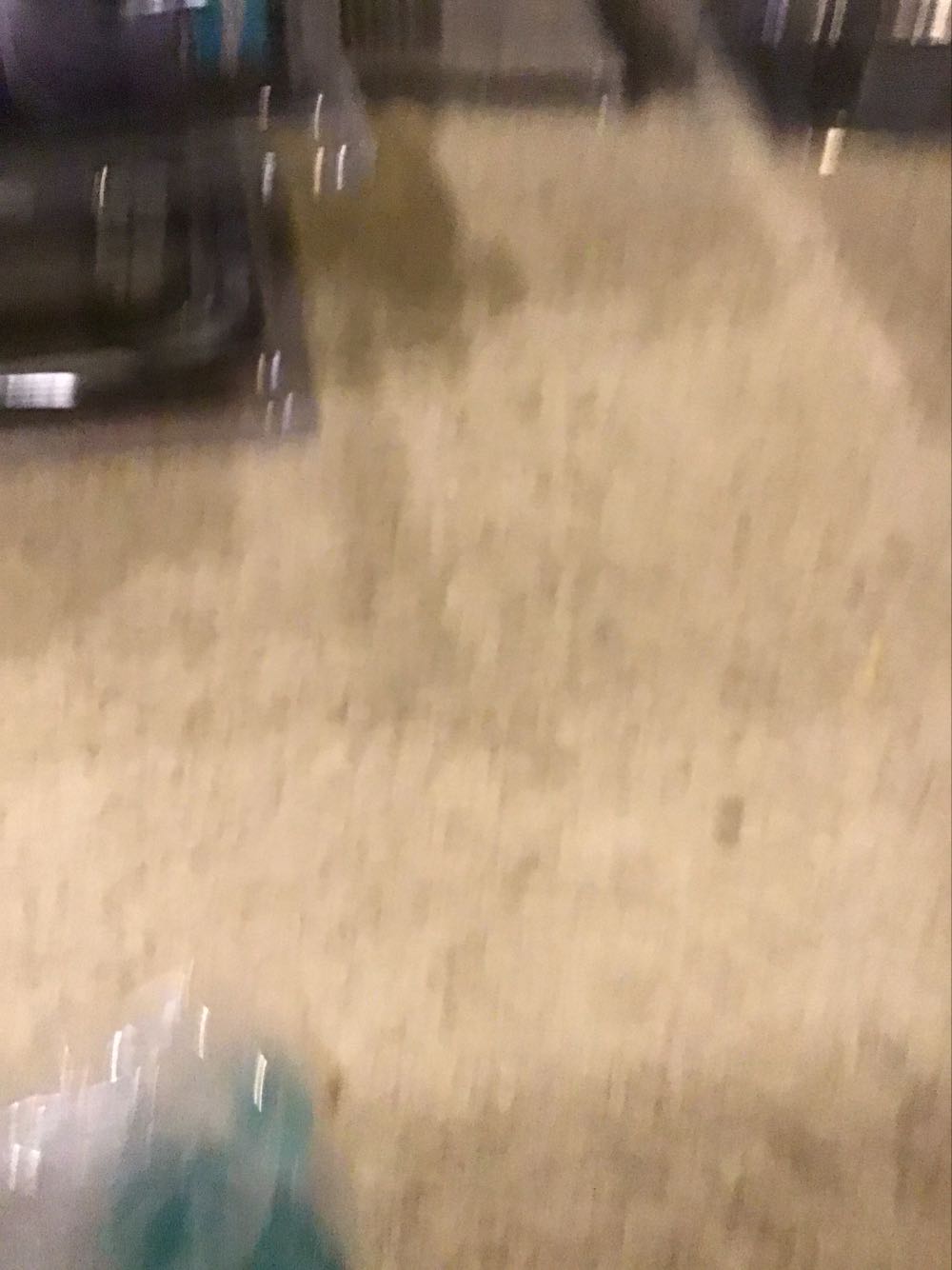 UFC Ultimate Collector Round 5 Brock Lesnar Ultimate Collector